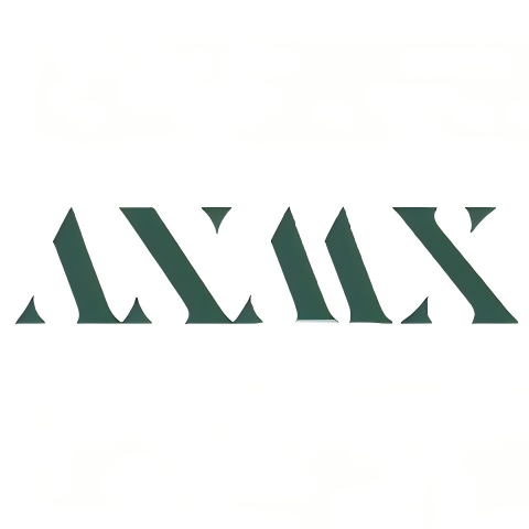 Shanghai  ANMX International Trading Co., Ltd. logo