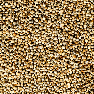 Millet perlé indien en vrac - Product Image 1