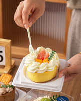 Boîte à dessert transparente de 4 pouces, emballage en plastique transparent, petit contenant pour gâteau roulé, lasagne, mousse