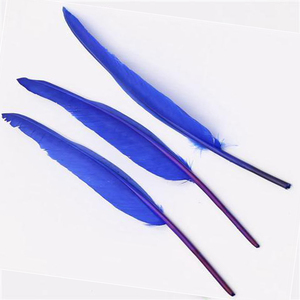 Haute Qualité Couleur Teinte Longue <span class=keywords><strong>D</strong></span>'<span class=keywords><strong>oie</strong></span> Plumes <span class=keywords><strong>D</strong></span>'ailes <span class=keywords><strong>Prix</strong></span> pour L'artisanat - Product Image 3
