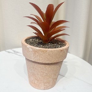 Brick rosso succulento stato Jiayi <span class=keywords><strong>manutenzione</strong></span> ufficio balcone piante verdi in vaso - Product Image 1