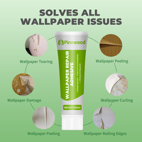 Pâte de réparation de mur imperméable et résistante à l'humidité de mastic fort blanc anti-moisissure pour la restauration de surface et le nettoyage des adhésifs et des scellants