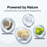 30 patchs transdermiques végétaliens et sans cruauté animale pour le soutien de l'humeur, à base d'extrait de Mucuna Pruriens et de champignon Crinière de lion, OEM
