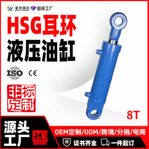 Vérin hydraulique HSG 8 tonnes personnalisé, simple ou double action, avec levage électrique, vente directe usine, conception non standard pour - Product Image 3