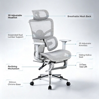 Chaise de bureau ergonomique en maille avec accoudoirs 3D réglables, chaise de bureau avec repose-pieds pliable, adaptée aux immeubles de bureaux
