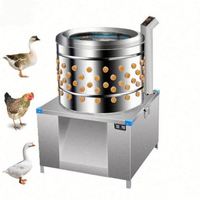 Machine à épiler les plumes de volaille automatique haute performance en acier inoxydable de 20 pouces pour poulets