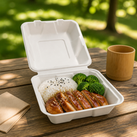 Boîte à clapet compostable de 8 pouces en bagasse de canne à sucre, conteneur articulé pour la préparation de repas à emporter, la livraison de nourriture pour restaurants