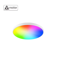 HomeKit Google Alexa RGBCW, atenuación continua, LED, conexión directa, diseño moderno, materia controlada por voz, lámpara de techo inteligente