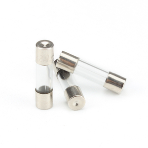 1A 250VAC ग्लास ट्यूब 5x20MM फ्यूज - Product Image 1