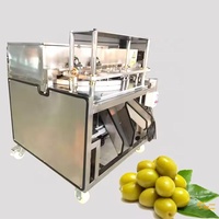 Hoge Automatisering Dadelzaad Scheidende Machine Olijf Fruit Steen Verwijderen Machine Gedroogde Jujube Putmachine Elektrische