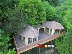 Villa suspendue en aluminium en forme de feuille de thé <span class=keywords><strong>pour</strong></span> couples, personnalisable, idéale <span class=keywords><strong>pour</strong></span> les centres de villégiature et jardins - Product Image 5