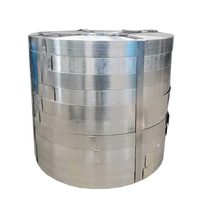 Hot Dipped Galvanized Steel Strip 40-275g Supply 5000T/Month Cold Rolled Galvanized Steel Strip Slit Coil Width 20-600mm Export