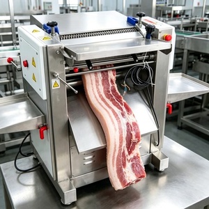 Machine <span class=keywords><strong>à</strong></span> trancher la <span class=keywords><strong>viande</strong></span> congelée automatique professionnelle, lame en acier inoxydable de 12 pouces, pour restaurants et charcuteries - Product Image 1