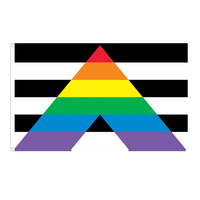 Drapeau extérieur personnalisé utilisez votre texte ou logo photo personnalisé Gay Lesbian Rainbow Support America Pride Lgbt Flags3x5 Ft