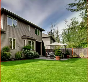 Cỏ nhân tạo không độc hại mô phỏng cao và sân thể thao và công viên Phủ Xanh-sân cỏ nhân tạo bản địa Hà Bắc - Product Image 1