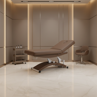 Camilla de Masaje Eléctrica Marrón de 2 Motores con Altura y Respaldo Ajustables para Terapia, Spa, Salón, Cosmética, Tratamientos de Belleza y Faciales