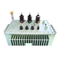 Proveedor de Transformadores de Distribución de Aceite de 10kv de Calidad Premium