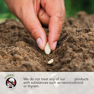 Collection de 5 sachets d'herbes non OGM non traitées pour pots suspendus et jardinières : Origano, <span class=keywords><strong>Basilic</strong></span>, Romarin, Sauge, Persil - Product Image 6