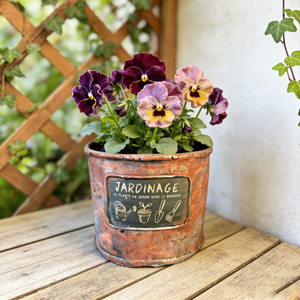 Vasi per Fiori in Cemento Stile Retrò Europeo, <span class=keywords><strong>Tazze</strong></span> da Caffè Effetto Invecchiato, Secchielli per Fiori, Vasi Classici Piccoli, Decorazioni Creative per Giardino - Product Image 1