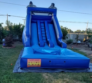 Al Aire Libre gigante comercial <span class=keywords><strong>Casa</strong></span> de rebote húmedo Parc Aquatique gonflable inflable delfín tobogán de agua <span class=keywords><strong>con</strong></span> <span class=keywords><strong>piscina</strong></span> - Product Image 1