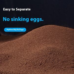 Alta Taxa De Chocagem 95% Hatch Ovos De Camarão Fry Open Feed Eco-Friendly Plástico Ornamental Combate Peixe Juvenil 220V 5W Poder - Product Image 2