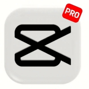 บัญชี CapCut Pro Premium 1 เดือน ซอฟต์แวร์ตัดต่อวิดีโอ - Product Image 3