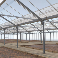 Invernaderos Agrícolas de Bajo Costo, Estructura de Acero Prefabricada, Nave para Cría de Ganado