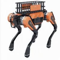 Robot quadrupède de transport robuste, charge utile de 40 kg, navigation autonome RXR-Q25Q