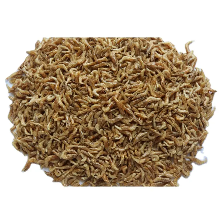 Wholesale High Quality Finely Processed Turtle Fish Food Shrimp 2-3Cm Factory direct sales