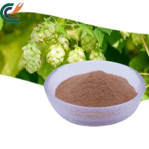 Extrait de fleur de houblon en vrac pour la bière (Humulus <span class=keywords><strong>lupulus</strong></span>) - Product Image 1