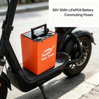 Batterie au phosphate de fer et de lithium 60V 30Ah/50Ah LiFePO4 avec BMS intelligent intégré, haute efficacité, charge rapide, spécifications pour tricycle électrique