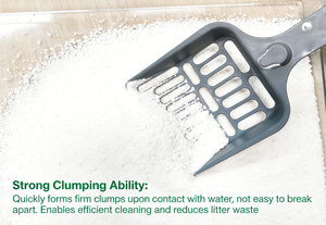 Arena para Gatos BENJIE Biodegradable, Desechable por el Inodoro, Ecológica, <span class=keywords><strong>de</strong></span> Soja, Tofu y Almidón <span class=keywords><strong>de</strong></span> <span class=keywords><strong>Yuca</strong></span> con Control <span class=keywords><strong>de</strong></span> Olores <span class=keywords><strong>Extra</strong></span> y Alta Absorción - Product Image 3