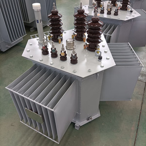 Transformateur triphasé immergé dans l'huile 0kV-35kV |   Refroidisseurs ONAN/ONAF, directement de l'usine, avec tests complets et livraison rapide - Product Image 6