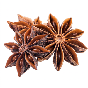 Anís estrellado indio en grano, 100% puro y natural, fragancia de 25 kg para importadores globales, venta al por mayor a granel, distribución internacional - Product Image 1