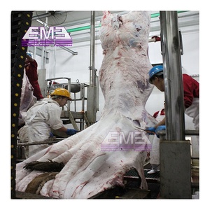 Ligne d'habillage d'abattoir de bovins <span class=keywords><strong>halal</strong></span> design moderne machines de <span class=keywords><strong>boucherie</strong></span> de bovins équipement d'abattoir de boeuf machine d'abattage de vaches - Product Image 5