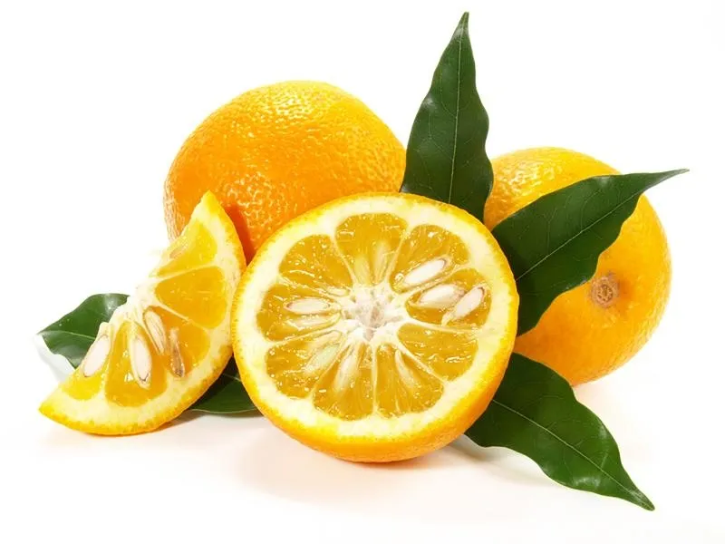 Reines natürliches 100 % hochwertiges organisches Citrus aurantium Extrakt Hesperedin Fruchtpulver