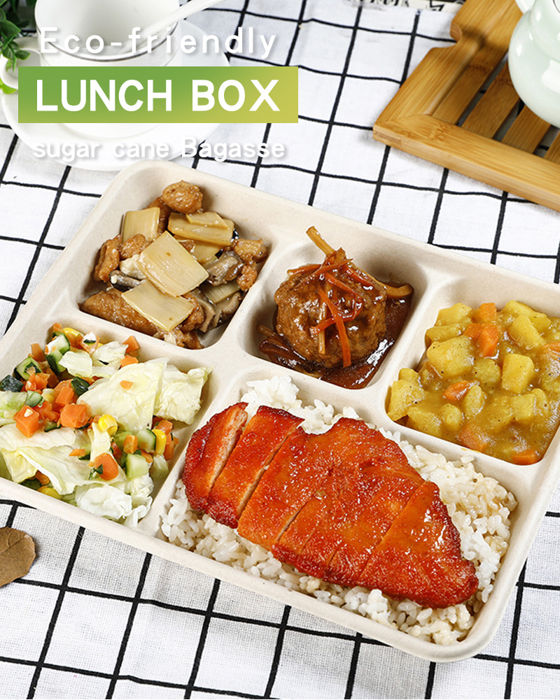 Biodegradable Disposable Food Clamshell / 3-5 Compartments Food Box Tray