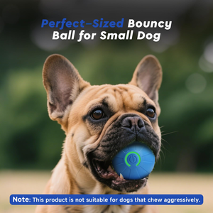 Pelota de Juguete para Perros con Salto Aleatorio - Pelota Interactiva Resistente a Mordidas para Cachorros, para Entrenamiento de Buscar, Juego en Interiores y Exteriores - Product Image 3