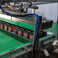 LWT Robot kemasan kaleng buah makanan garis produksi palet susun otomatis diisi kaleng timah Palletizer mesin Depalletizer