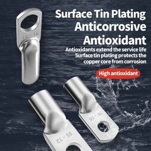 Cnxi Verkoopt Hoogwaardige Jg-Serie T2 Koperen Kabelnokken Optimale Prestatie Gebruikte Terminals Voor Auto-Verbindingen Koude Crimp-Einde - Product Image 4