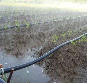 Système d'irrigation à <span class=keywords><strong>tuyau</strong></span> de pluie 1ha kit <span class=keywords><strong>tuyau</strong></span> de pulvérisation plat <span class=keywords><strong>tuyau</strong></span> de pluie <span class=keywords><strong>souple</strong></span> système d'irrigation agricole tube de pluie - Product Image 4