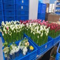En gros, fausse herbe aquatique nordique au toucher naturel, bouquet artificiel pour centre de table de restaurant, accessoires floraux de décoration intérieure, Planta