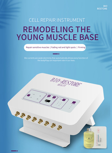 2023 Microcurrent Therapie Apparaat Bio-Herstel Microcurrent Huidverzorging Microcurrent Stimulatie Machine Verjonging Zorg - Product Image 6