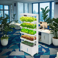 Armoire de culture de plantes de serre intérieure hydroponique automatique avec lumière LED nouveau système d'irrigation pour l'arrosage à la maison