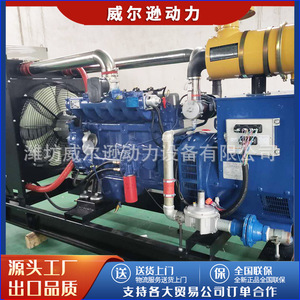Customized 80kW Gas Generator Set For Livestock Farms And Industrial Parks High Power <b>Engine</b> <b>Model</b> 41004102410561056126 - Product Image 2