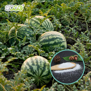 ポリマー製品である作物、果樹、野菜、園芸、芝生、森林の緑化用のカリウムポリアクリル酸塩を含むSAP肥料 - Product Image 4