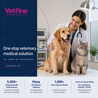Analyseur hématologique avancé entièrement automatique pour animaux de compagnie, compteur de cellules sanguines en plastique, outil de diagnostic vétérinaire de pointe