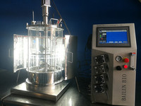 Sistemas de Biorreactores para Plantas, Fotobiorreactor de Microalgas, Fermentador de Laboratorio de Vidrio de 10 Litros, BLBIO-GJL