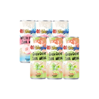 Solution de personnalisation de canettes en aluminium 330ml avec un grand professionnalisme