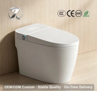 Toilette intelligente populaire au Moyen-Orient, avec chasse d'eau automatique, couvercle à fermeture douce, conception économe en énergie – Produits pour la maison intelligente